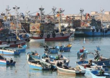 منظمة التغذية و الزراعة تطلق جردا لقطاع الصيد التقليدي بالمغرب الكبير.