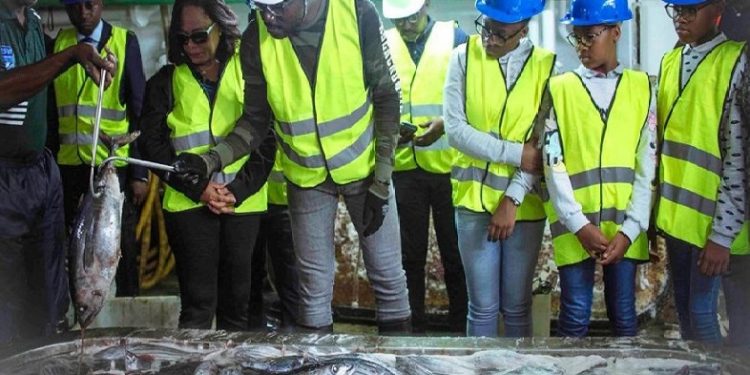 Thon : 1 250 tonnes transbordées à Owendo