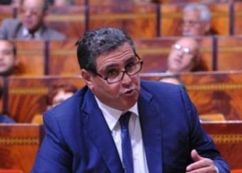 بحّار يرد على أخنوش….حللت حتى عييت و مافهمت والو.