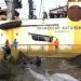 Fin du calvaire pour les mammifères marins retenus en Extrême-Orient russe