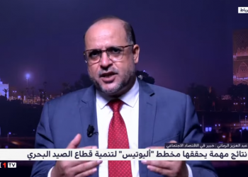 تحليل .. أبرز ما أثمره مخطط “أليوتيس” في مجال عصرنة قطاع الصيد