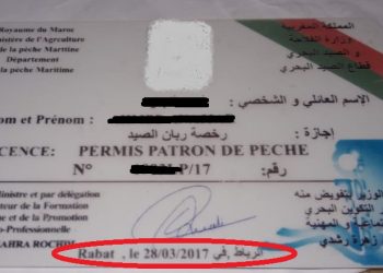 تحريات تكشف عن رأس الحربة  في توزير الشواهد بأكادير