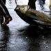 الايكات تقرر في مصير Thunnus obesus