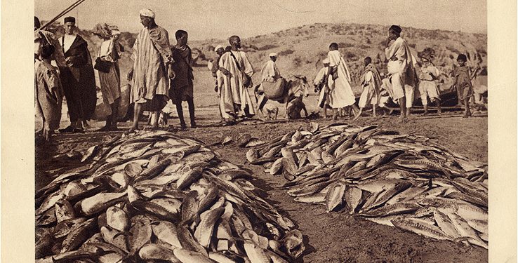 شادي بوشعيب:تاريخيا التونة الحمراء كانت تفرغ بميناء أكادير،و الماضرابا شاهد عليها.