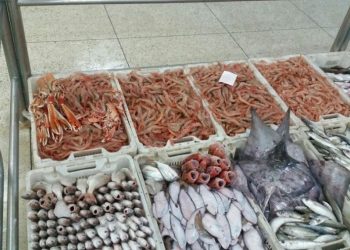 الصويرة: التهريب يتسبب في افلاس تجار السمك