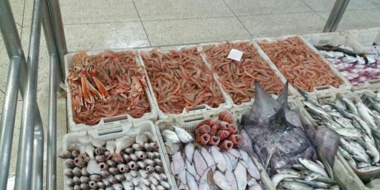 الصويرة: التهريب يتسبب في افلاس تجار السمك
