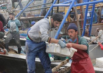 الابتزاز مقابل الخدمات، آفة تنخر قطاع الصيد البحري