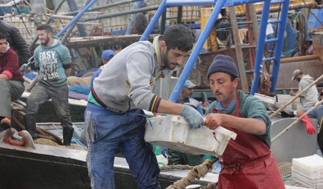 الابتزاز مقابل الخدمات، آفة تنخر قطاع الصيد البحري