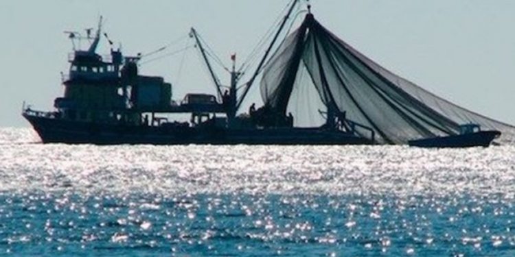 خبراء يحذرون من ممارسات سفن تركية الصيد الجائر بالمياه الموريتانية.