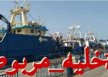 “خليه مربوط ” هاشتاغ لمقاطعة الابحار قبيل استئناف  موسم صيد الأخطبوط