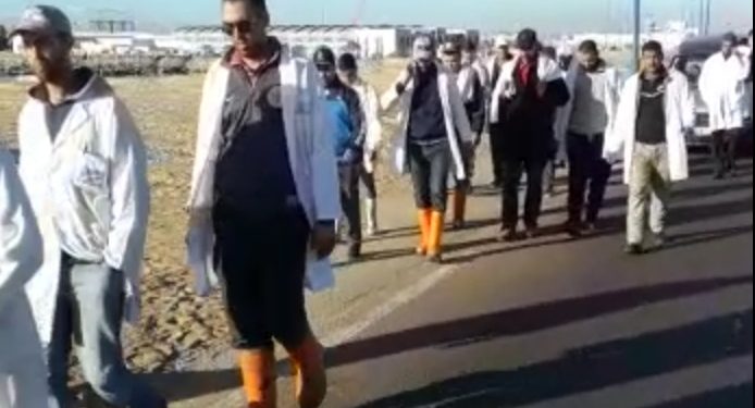 العيون: اعتداء على تاجر سمك بالسيف،يهدّد باغلاق سوق السمك للبيع بالجملة.