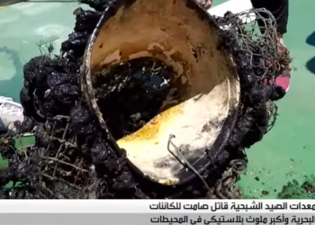 أدوات الصيد الشبحي أهم ملوث للمحيطات