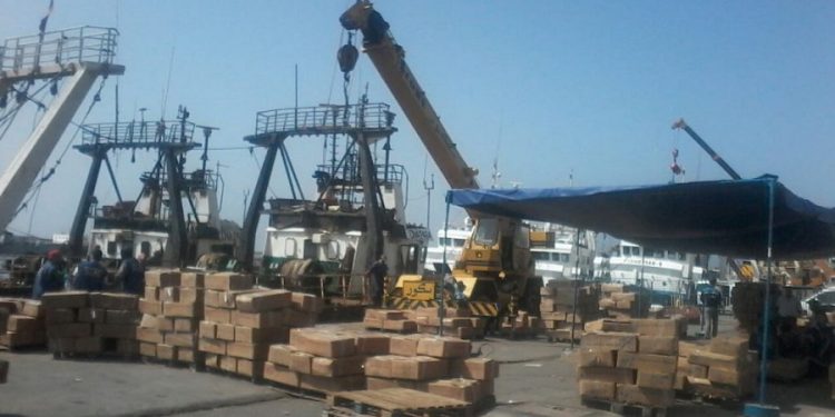نشطاء “خليه مربوط” يتراجعون عن الخطاب المتطرف،و يعتبرونها حملة تضر بالاستثمارات.