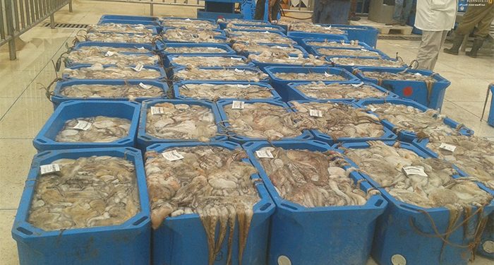 تحطم الأغطية يفقد الصناديق العازلة دورها و يحولها لأوعية متعددة الاستعمالات.