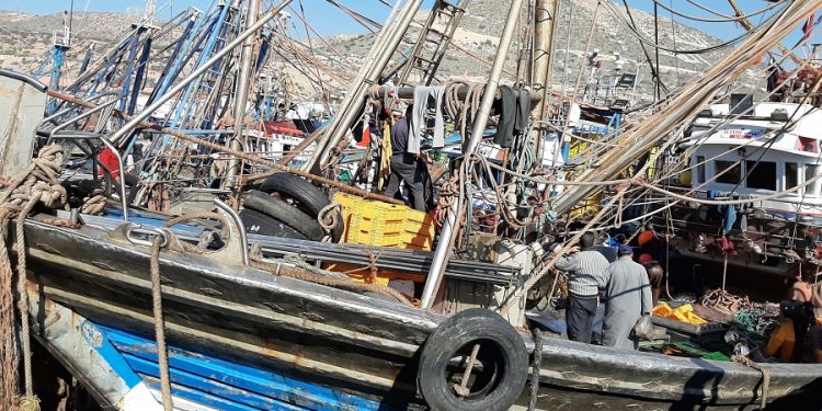 النقابة المهنية لأرباب مراكب الصيد الصناعي بميناء أكادير، تقعد جمعيتها العامة.