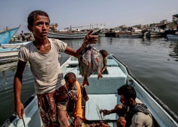 جهود إماراتية لتنشيط الصيد البحري في غرب اليمن