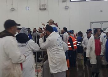اختفاء مسؤولين يسبب أزمة بسوق السمك للبيع بالجملة بميناء اكادير
