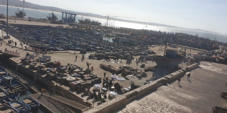 بسبب الاخطبوط و الأنشوفة اكثر من500وحدة صيد تحط بميناء الصويرة