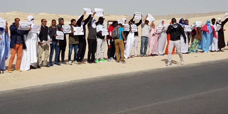 فعاليات موريتانية : أسطول الصيد الصيني و التركي خطر على الأمن القومي البحري والغذائي والبيئي