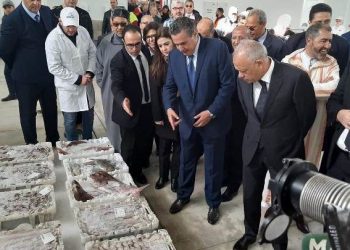 أخنوش يفتتح سوق الجديد لبيع السمك بالجملة بتطوان