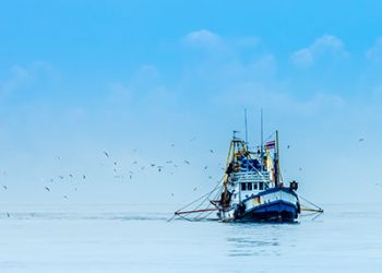 Nouveau rapport: dix-sept éléments de données nécessaires pour les contrôles de pêche INN