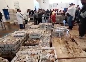 انطلاقة جيدة لموسم صيد الاخطبوط رغم اضراب موظفي وزارة الصيد البحري.
