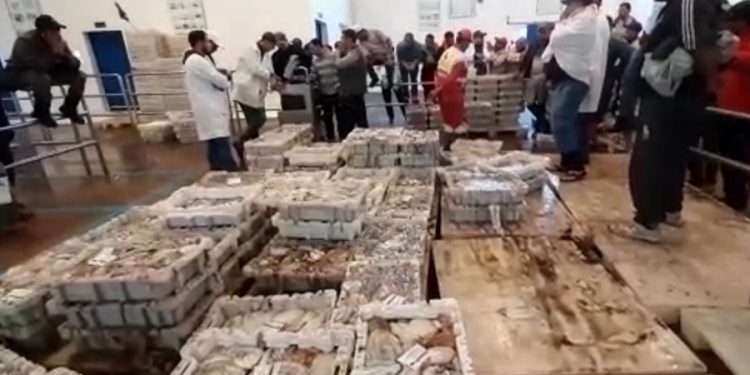 انطلاقة جيدة لموسم صيد الاخطبوط رغم اضراب موظفي وزارة الصيد البحري.