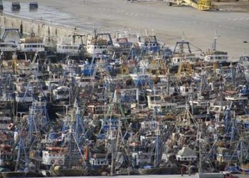العيون: مهنيو صيد السردين ينددون بازدواجية الخطاب في تثمين المنتوج.