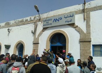 الصويرة: اكتضاض الميناء و سوء التدبير يفسدان موسم صيد الأخطبوط.