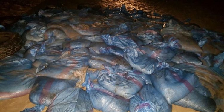 الداخلة: البحرية الملكية تضبط أكثر من ثلاث أطنان من الأخطبوط المعد للتهريب، و الصيد البحري ينفي.