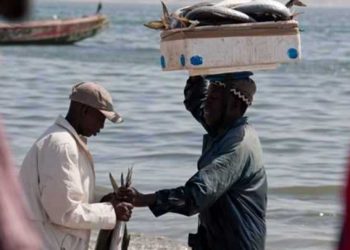 موريتانيا: الحكومة توفد وزيرين لنقاش استراتجية الصيد بنواذيبو