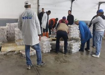 الزيارة الملكية تكشف حقيقة المفرغات بمنياء أكادير.