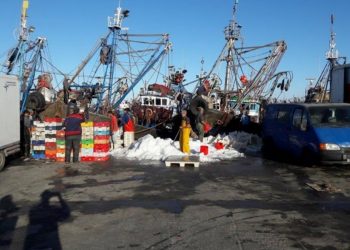 الداخلة: اطفال المدارس يستكشفون الصيد البحري