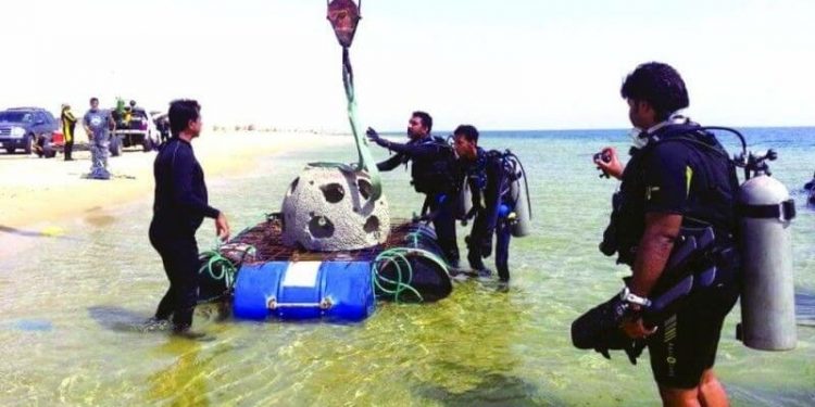 السعودية تنشئ إدارة لحماية البيئة البحرية وثرواتها.