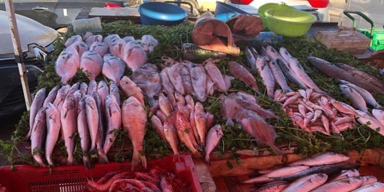 الأسماك بالجزائر.. أسعار ملتهبة وعائلات لا تتذوقها لأشهر