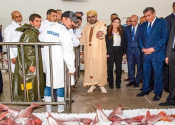 الملك يشرف على تدشين نقطة تفريغ بجماعة إيموران