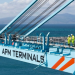 APM Terminals تصل “المليون الأول” في مناولة الحاويات في ميناء طنجة