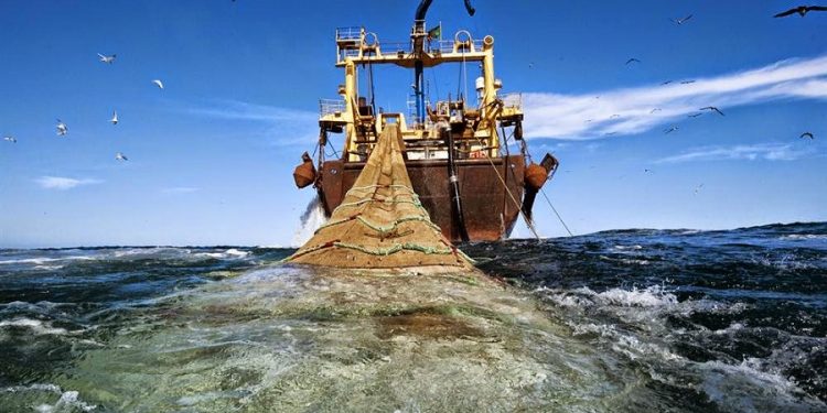 نقابات:قطاع الصيد يعيش فوضى عارمة وتزوير الوثائق