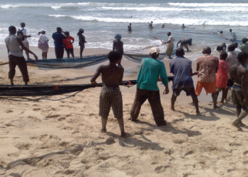 Pêche en Côte d’Ivoire:Pourquoi l’actualisation du plan de gestion de la senne de plage s’impose