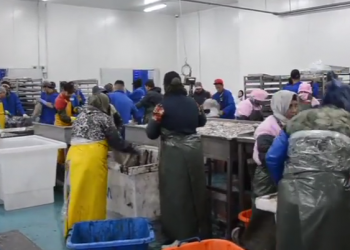 مارسي فوود كولدن كولف لتثمين الموارد بالداخلة.