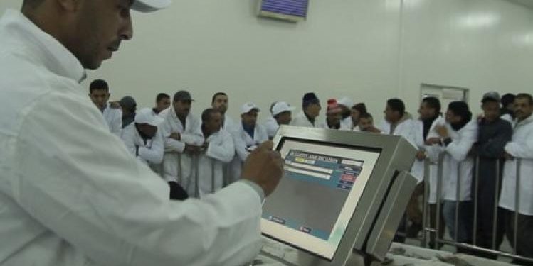 تراجع في مفرغات الصيد بمنياء طانطان برسم سنة2019.