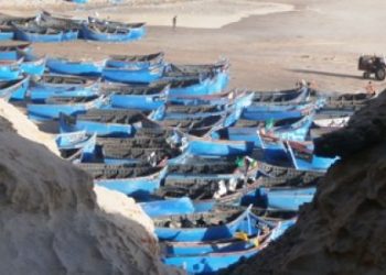 الضمان الاجتماعي في الصيد البحري بالداخلة