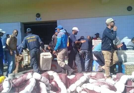 المكتب الوطني للصيد بأسفي في مواجهة جائحة كرونا.