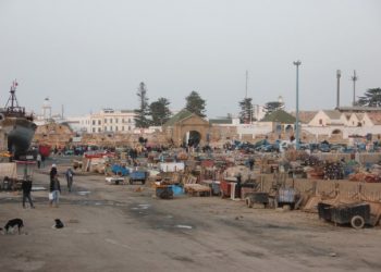 رياح كورونا تهب على ميناء الصويرة.