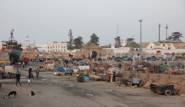 رياح كورونا تهب على ميناء الصويرة.