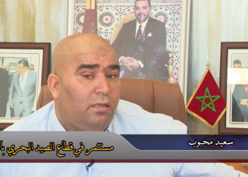 خاص عن الصيد البحري بجهة الداخلة وادي الذهب