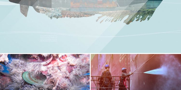 لخطورتها على البيئة البحرية، OMI  تطلق مشروعا عالميا لمواجهة الأحياء العاقة بهياكل السفن.