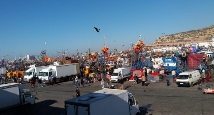 مهنيون: الوطنية لا تعني التضحية بالبحارة لتموين سوق الاستهلاك بمنتوجات تفوق القدرة الشرائية للمواطنين.