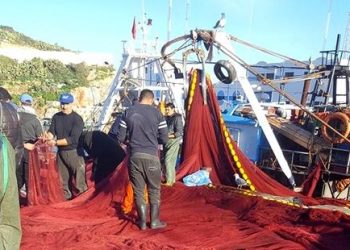 مهنيو الحسيمة يدعون الى احداث آلية لتدبير جائحة النيكرو، على غرار صندوق تدبير جائحة كورونا.