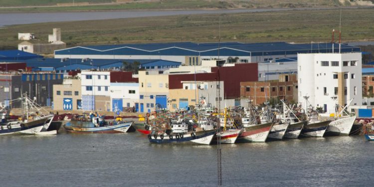 مخاوف من تفشي كورونا بمنياء العرائش،تدفع عدد من المراكب الى ربط الحبال.